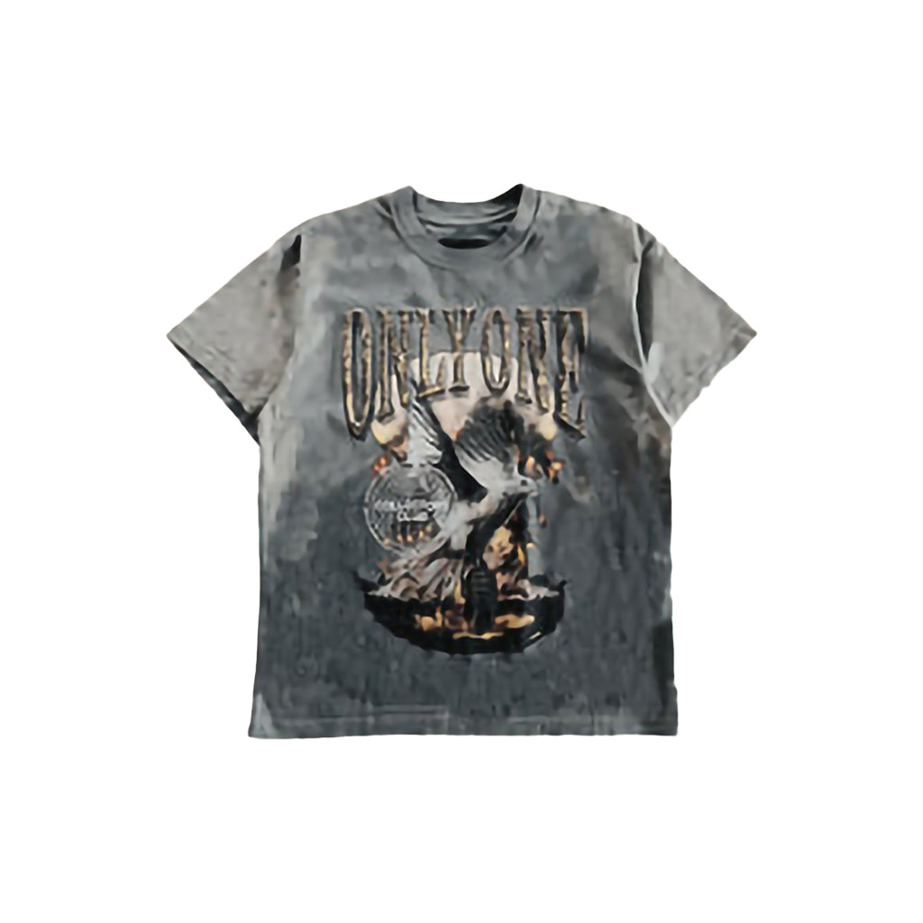 Collection of  in a gallery layout