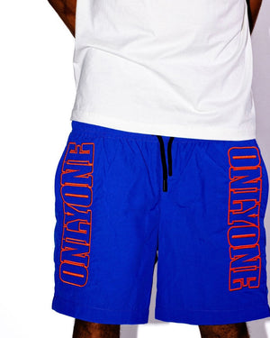 Nylon Shorts Blue